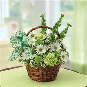 Denville Florist | Irish Basket