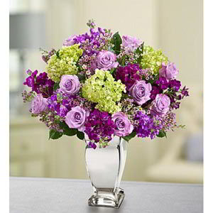 Denville Florist | Lavender Collection