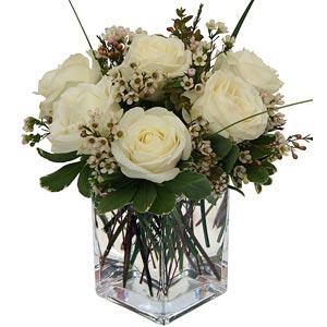 Denville Florist | 6 White Roses