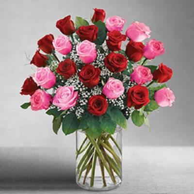 Denville Florist | 24 Pink  & Red Roses