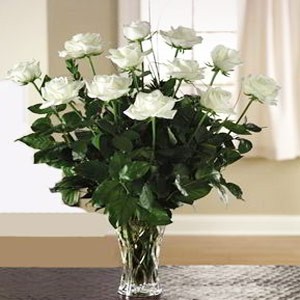 Denville Florist | 12 White Roses 