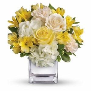 Denville Florist | Bright Collection