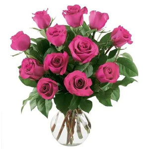 Denville Florist | 12 Bright Pink Roses
