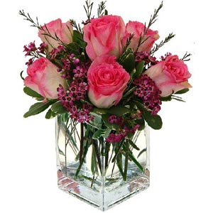 Denville Florist | 6 Two Tone Roses