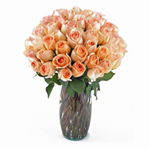 Denville Florist | 36 Peach Roses