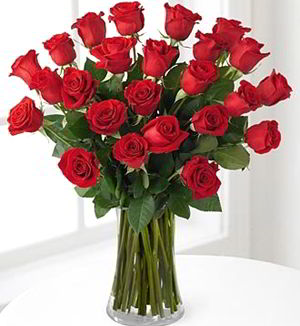 Denville Florist | 24 Red Roses