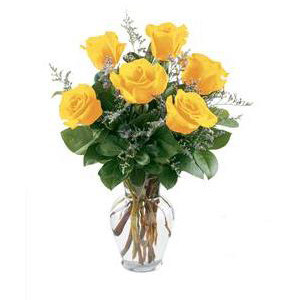 Denville Florist | 6 Yellow Roses