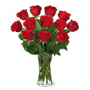 Boonton Florist | Dz Red Roses